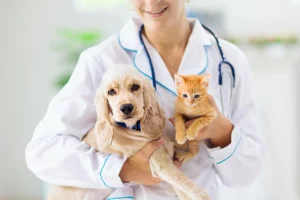 VET Clinic for CBD Oil for pets