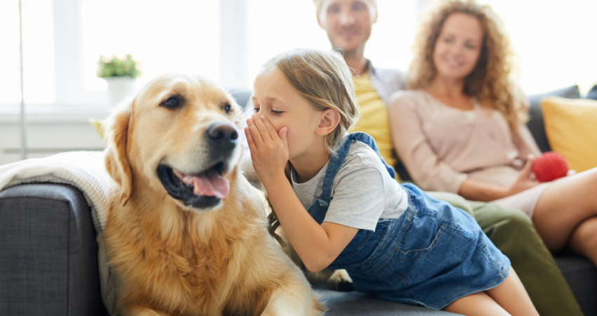 CBD is becoming popular as a treatment for pets in Australia